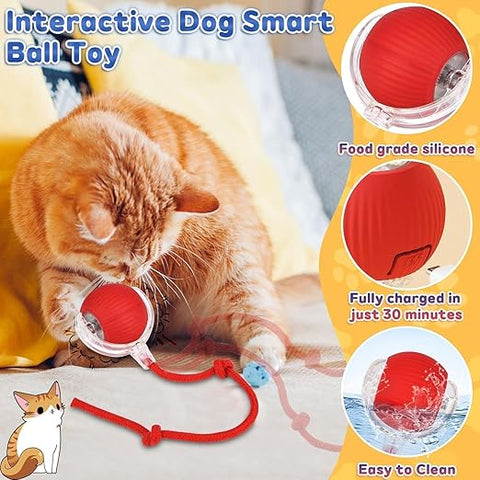 Cat Dancing Ball Pet Dog Cat Toys for Indoor Cats Fast Rolling on Carpet,360° Smart Automatic Rolling Pet Ball, (Multicolor-1 PCS)