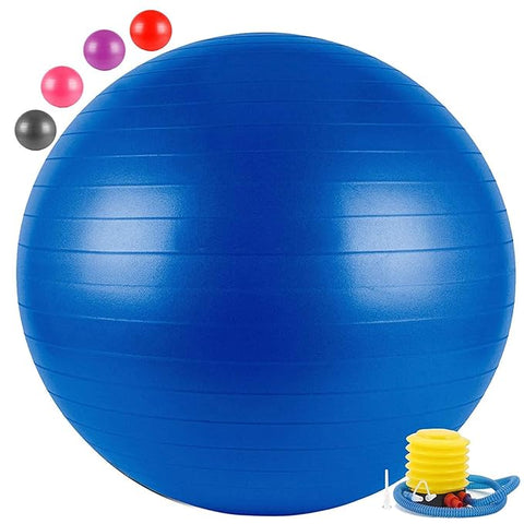 Anti Burst Exercise Gym Ball with Pump Anti-Slip Balance Stability Ball Yoga Ball Extra Thick Swiss Birthing Exercise Ball for Home 75 CM (Multi Color)