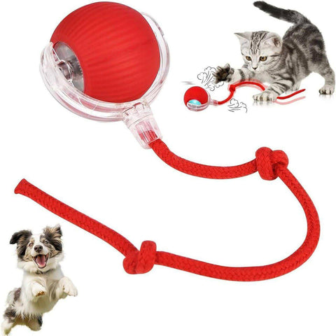 Cat Dancing Ball Pet Dog Cat Toys for Indoor Cats Fast Rolling on Carpet,360° Smart Automatic Rolling Pet Ball, (Multicolor-1 PCS)